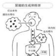 尿酸生成 尿酸生成