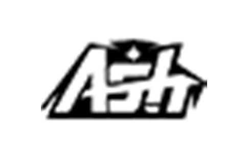 Ash戰隊 Ash戰隊