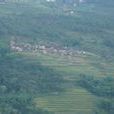 舊村村(雲南省楚雄市大地基鄉大地基村委會舊村村) 舊村村(雲南省楚雄市大地基鄉大地基村委會舊村村)