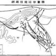鮑癸 鮑癸