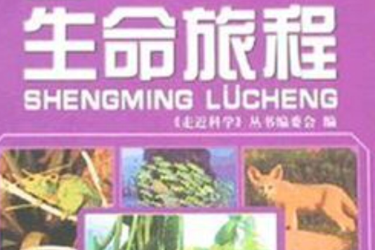 生命旅程 生命旅程