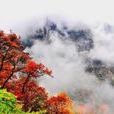 古道紅楓 古道紅楓