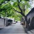 關河鄉(四川廣安市鄰水縣關河鄉) 關河鄉(四川廣安市鄰水縣關河鄉)