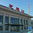 芝罘站