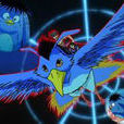 小波(動畫《幽游白書》角色) 小波(動畫《幽游白書》角色)