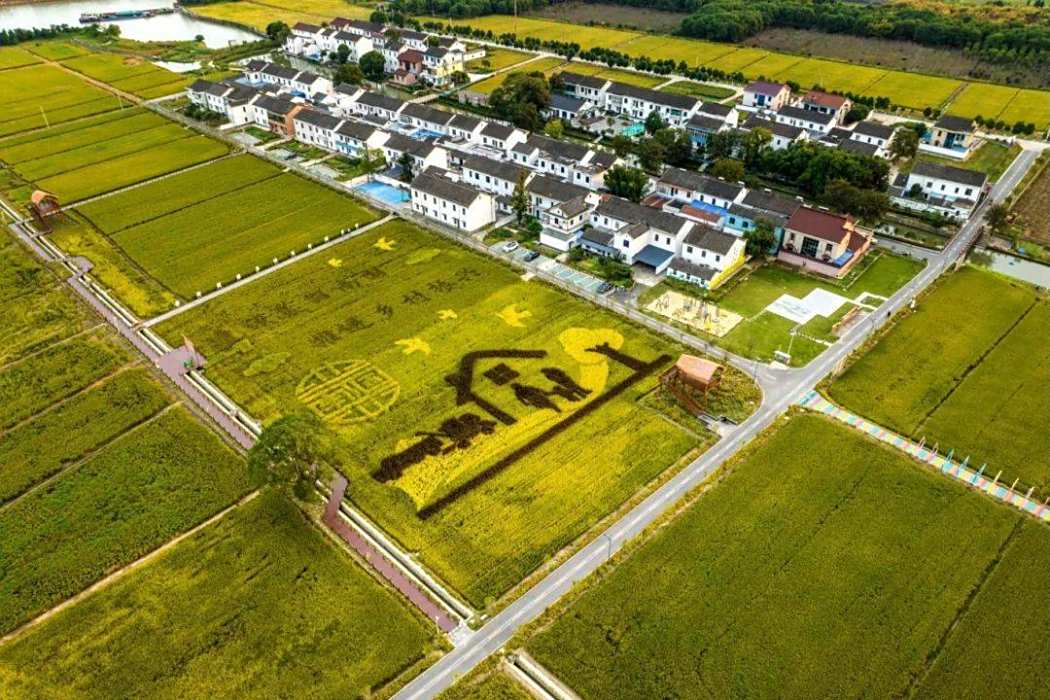 千淨村