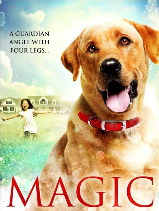 Magic(美國2010年Robert Davi執導的電影) Magic(美國2010年Robert Davi執導的電影)