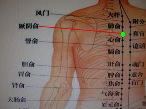 厥陰俞穴