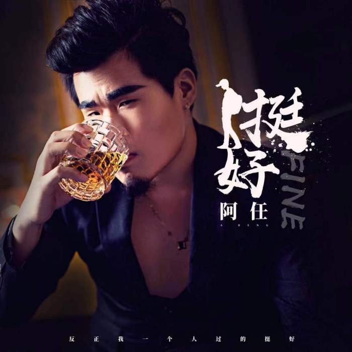 挺好(阿任演唱的歌曲) 挺好(阿任演唱的歌曲)