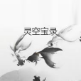 靈空寶錄 靈空寶錄