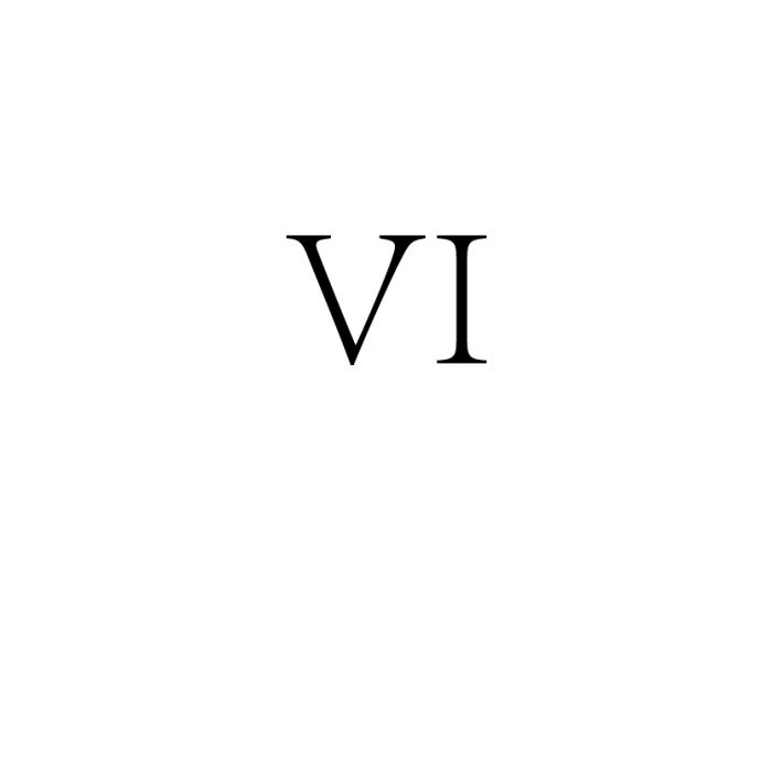 Vi(羅馬數字6) Vi(羅馬數字6)