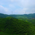 齊岳山 齊岳山