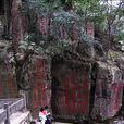 達摩十八景 達摩十八景