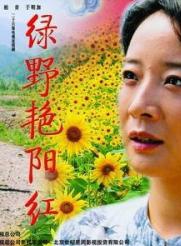 孫維民 孫維民