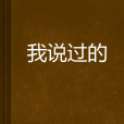 我說過的 我說過的
