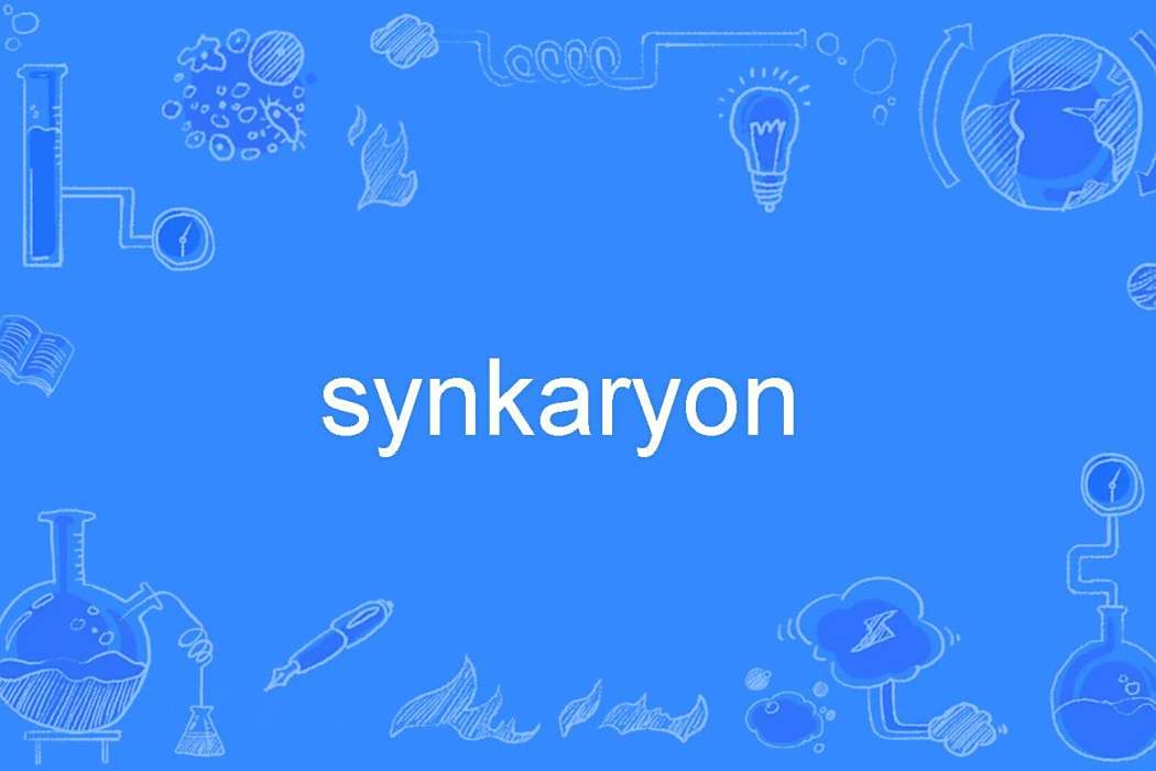 synkaryon synkaryon