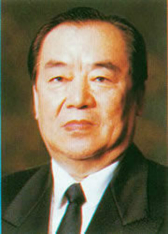王濤(全國人民代表大會常務委員會委員)