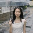 石杭鷺 石杭鷺