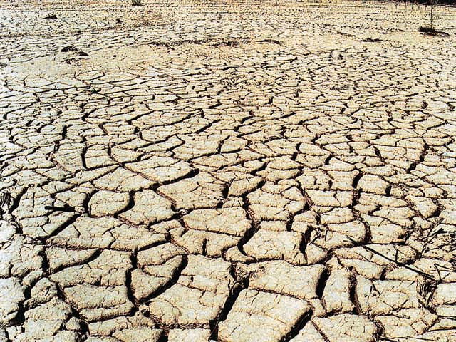 2010百年不遇乾旱地區