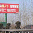 反色情廣告 反色情廣告