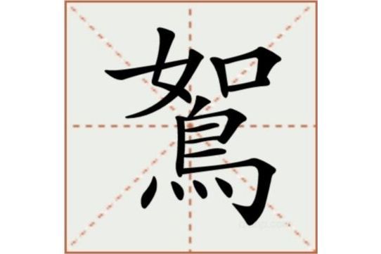 鴽 鴽