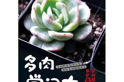 多肉學問大 多肉學問大