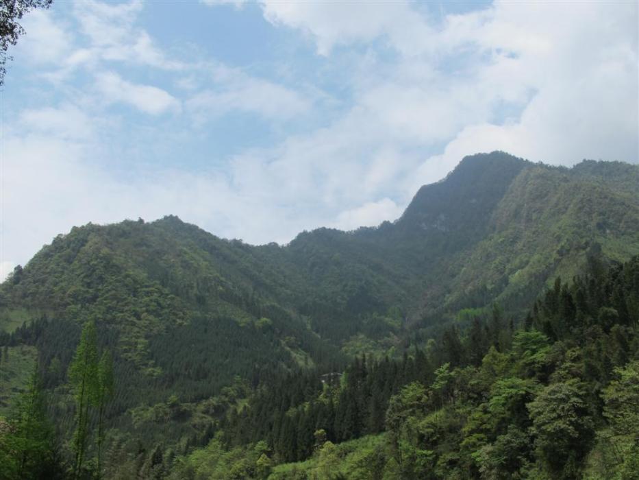 曹老溝 曹老溝