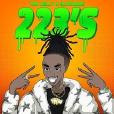 223\x27s 223\x27s