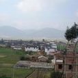 莊科村(雲南大理市鳳儀鎮下轄村)