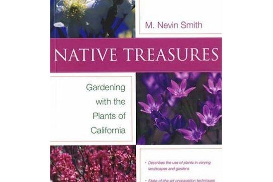 Native Treasures Native Treasures