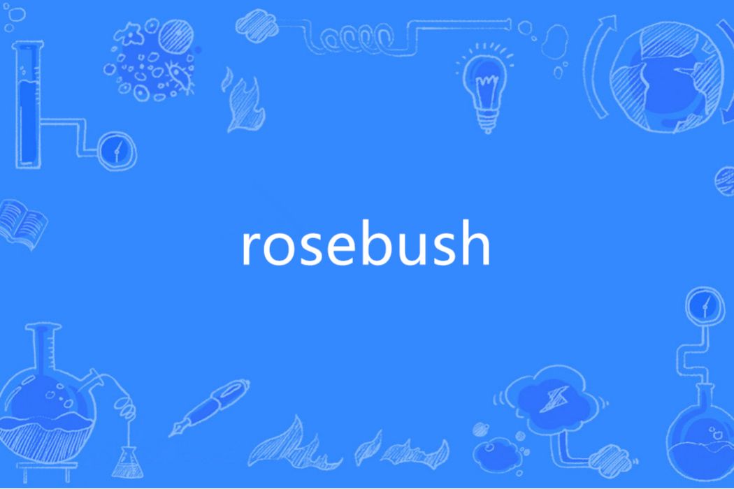 Rosebush(英語單詞) Rosebush(英語單詞)