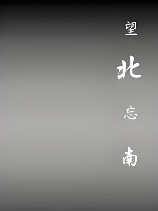 望北忘南 望北忘南