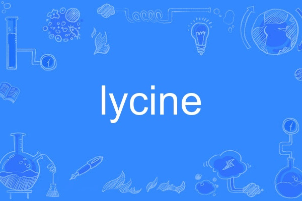 lycine lycine