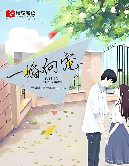一婚向寵 一婚向寵