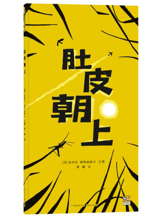 肚皮朝上 肚皮朝上
