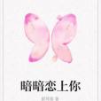 暗暗戀上你 暗暗戀上你