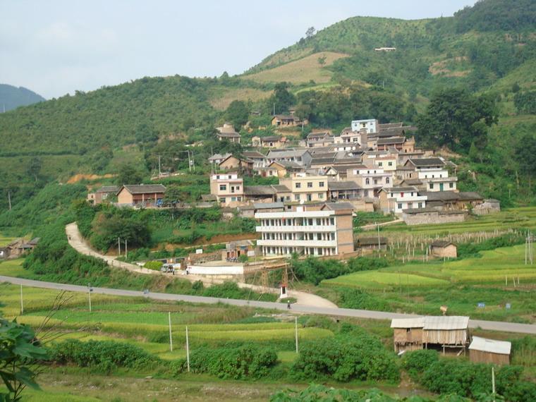 那平村 那平村