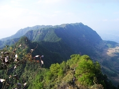 老瀛山是省級森林生態自然保護區