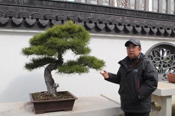王如生(如派盆景繼承人、盆景藝術家) 王如生(如派盆景繼承人、盆景藝術家)