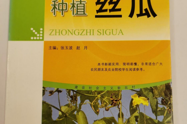 種植甘蔗 種植甘蔗