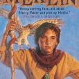 Lost Years of Merlin Lost Years of Merlin