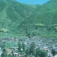 西應村 西應村
