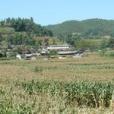 擺果村 擺果村
