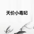 天價小毒妃 天價小毒妃