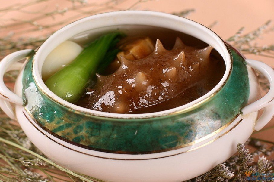 山東海參 山東海參
