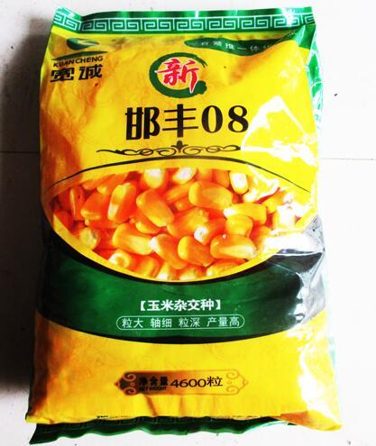 邯豐08 邯豐08