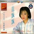 恨你不回頭(龍飄飄演唱歌曲)