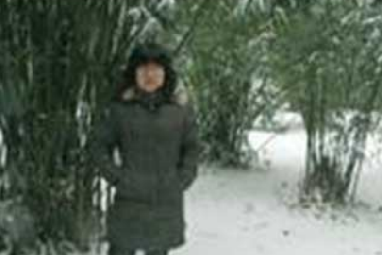 鄭林(畫家) 鄭林(畫家)