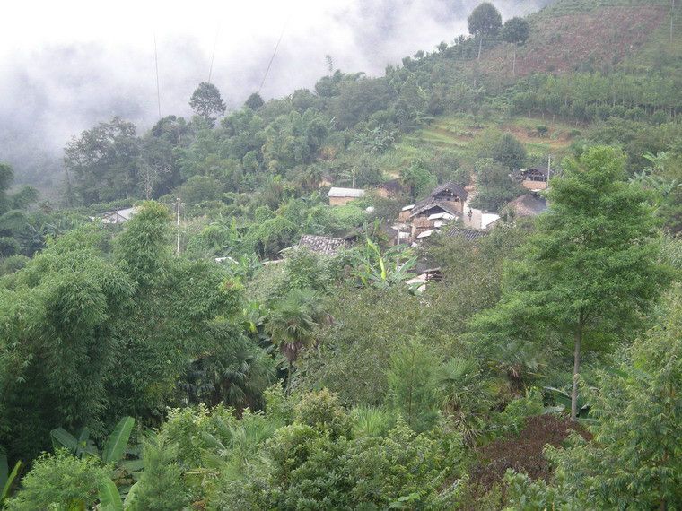 刺竹林村(新平縣平掌鄉庫獨木村民委員會下轄村) 刺竹林村(新平縣平掌鄉庫獨木村民委員會下轄村)