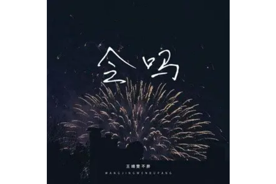 會嗎(王靖雯不胖演唱歌曲) 會嗎(王靖雯不胖演唱歌曲)